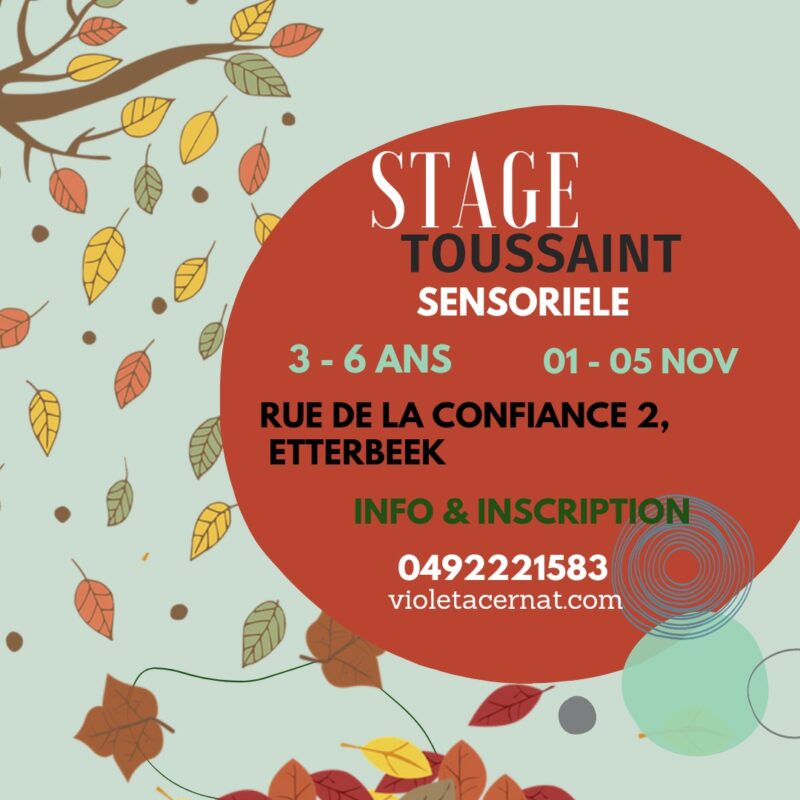 Stage Children Enfants Bruxelles